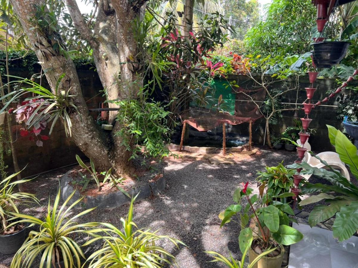 米瑞莎 Jungle Reef Rest酒店 外观 照片